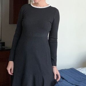 Ann Taylor Loft Black Dress with White Ruffle Collar